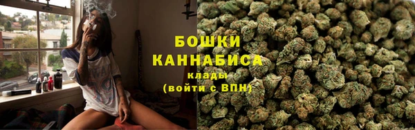 тгк Медногорск
